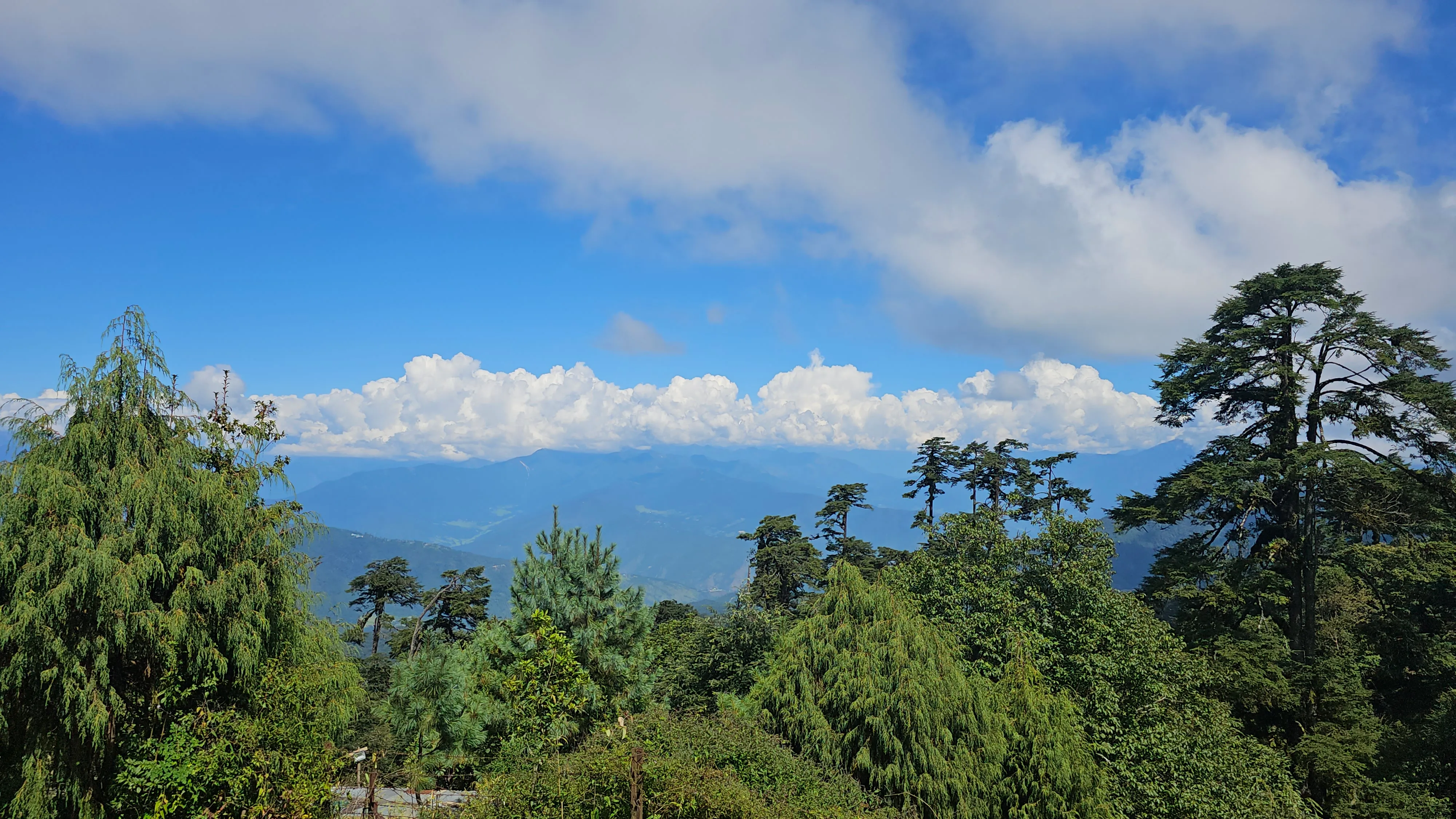 A wide view over forested Bhutanese ridges to distant blue mountains and clouds