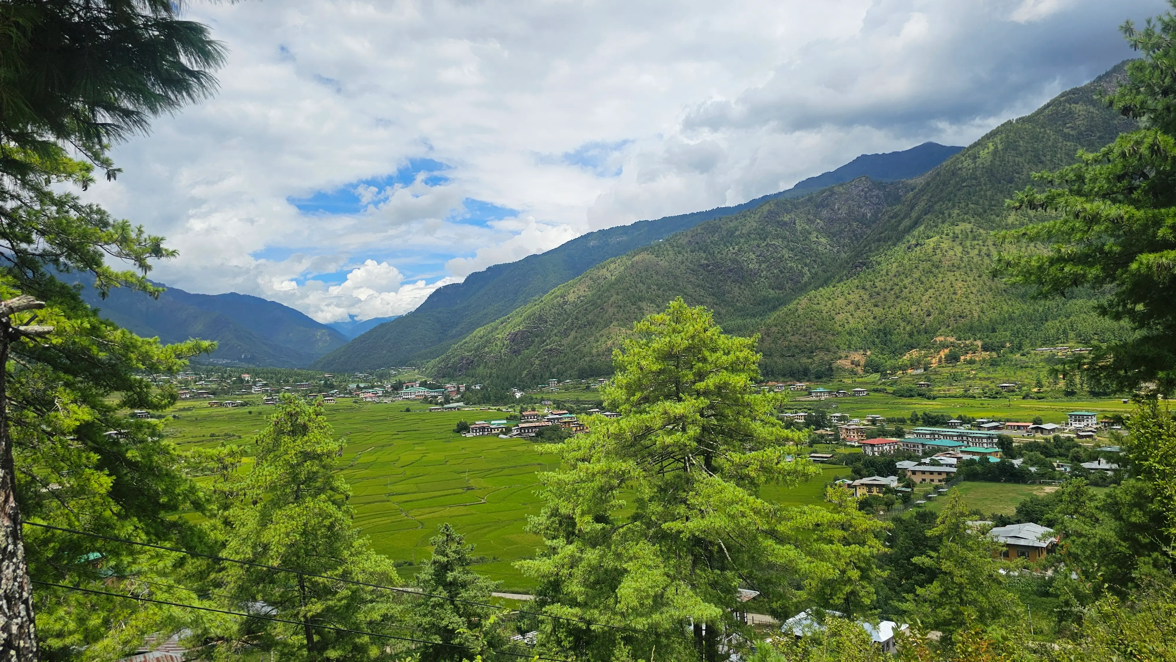 A lush green Bhutanese valley of rice fields and a village below forested mountains