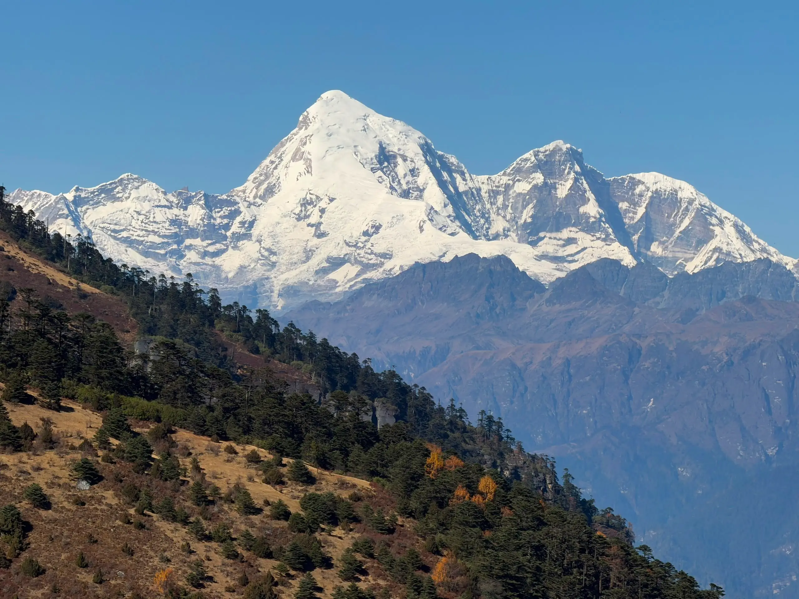 A snow-capped Himalayan peak above forested ridges in Bhutan