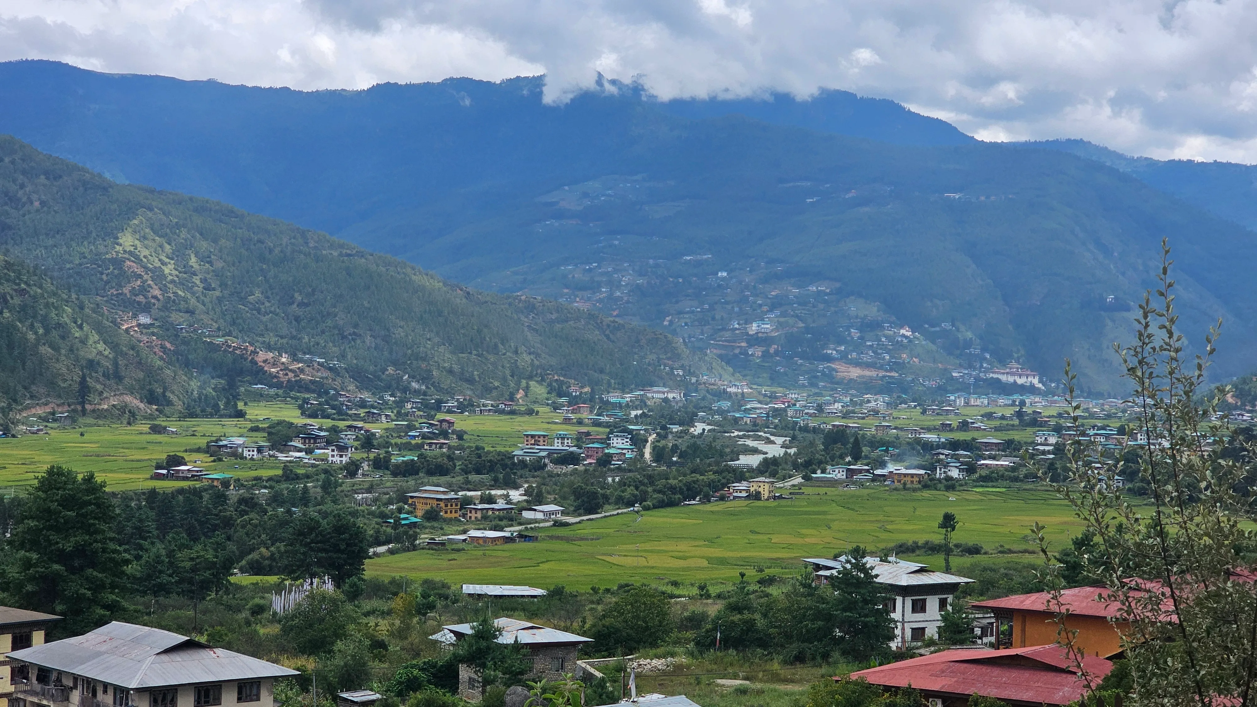 A wide Bhutanese valley with a town, terraced fields and a dzong below forested mountains