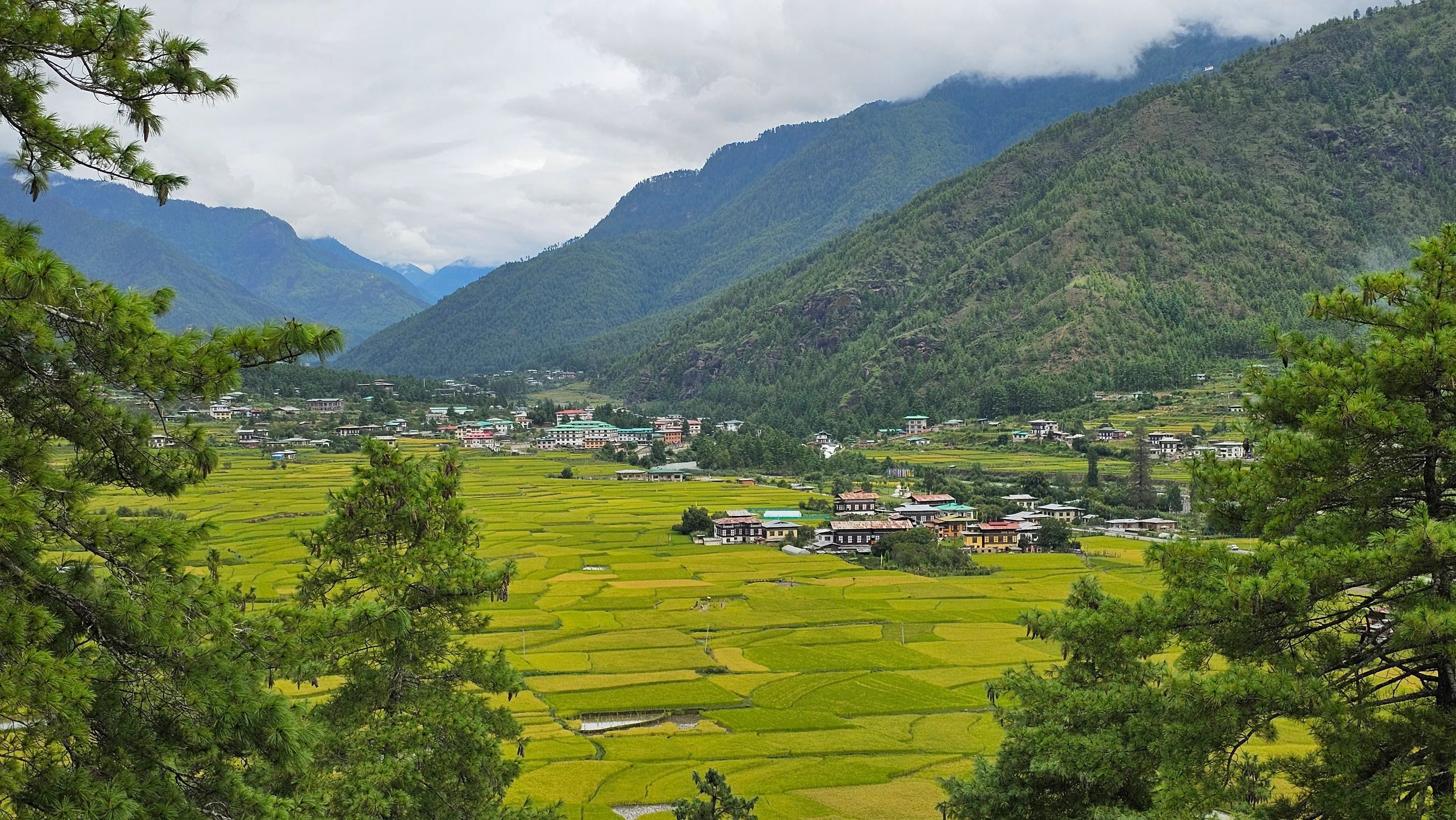 A green Bhutanese valley of terraced rice fields and a village below forested mountains