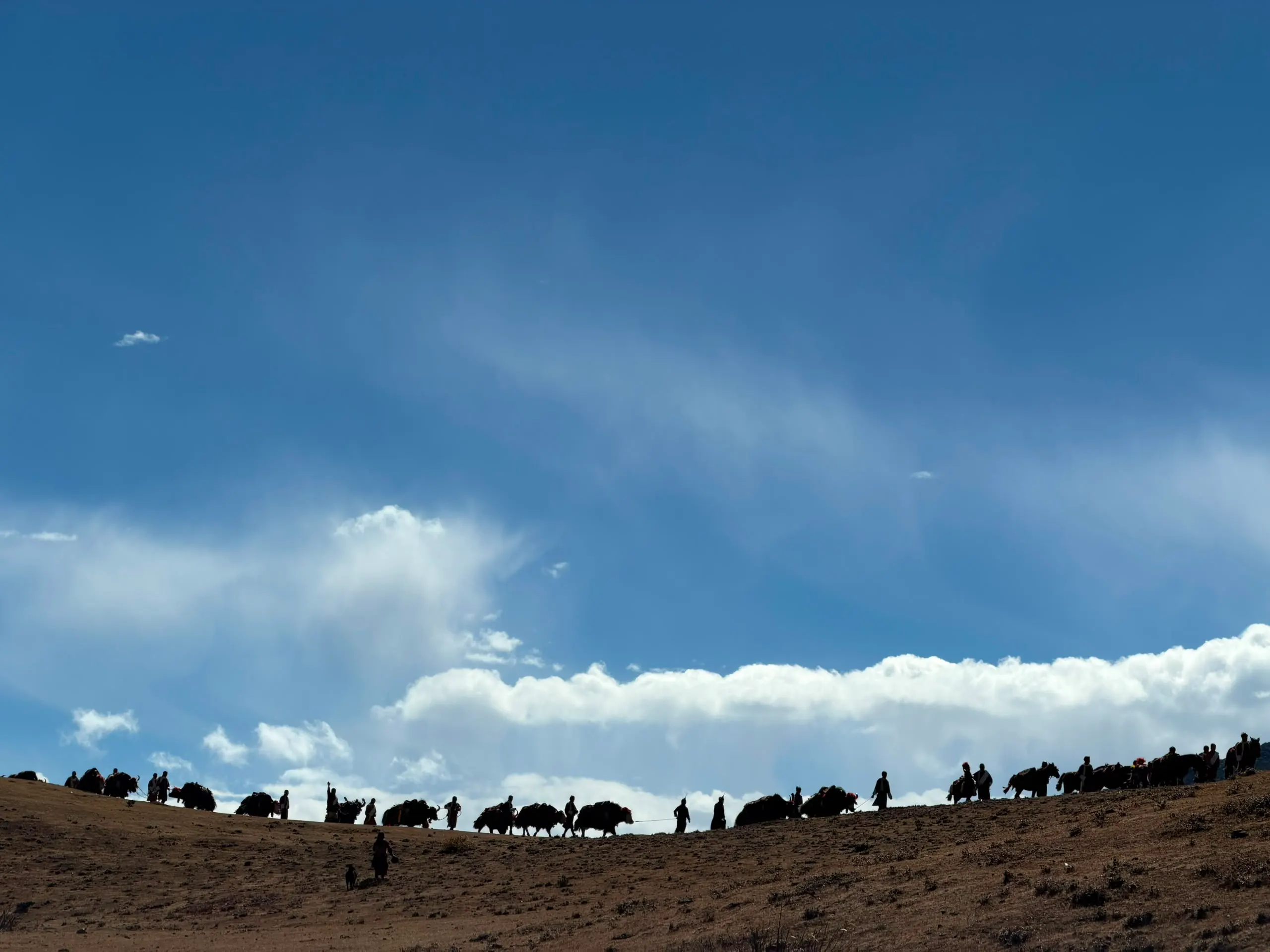A yak caravan and herders crossing a highland ridge against a blue sky